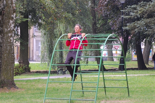 Obrázek v galerii